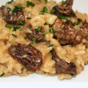 Risotto aux morilles