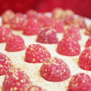 tiramisu vanille aux framboises 1024x752 1