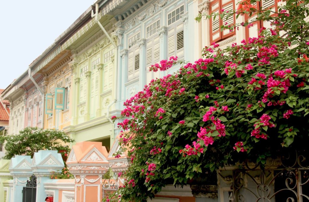 Article featured image