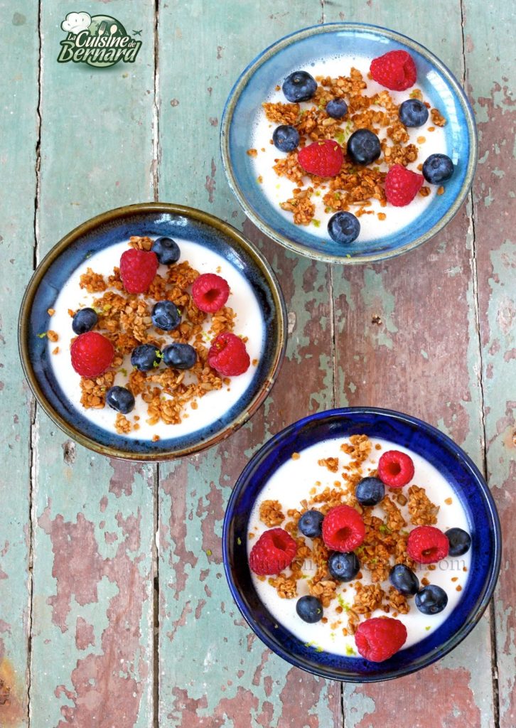 Panna Cotta au lait de coco, Granola et fruits rouges