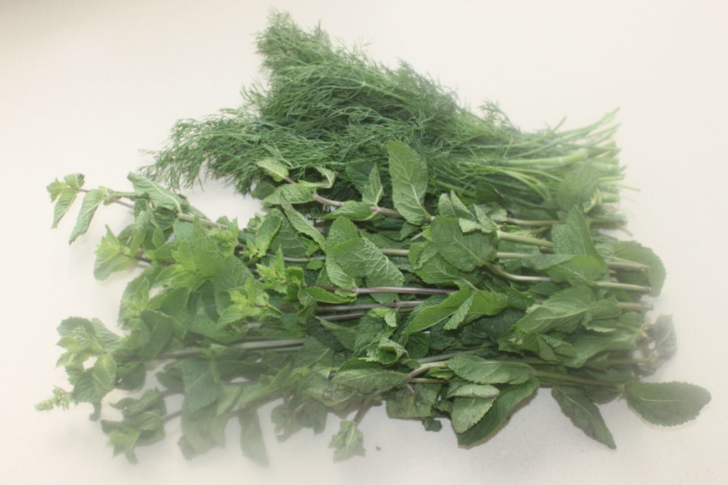 32A9D04F D148 4C43 81AA EFD9BDF6A4F9