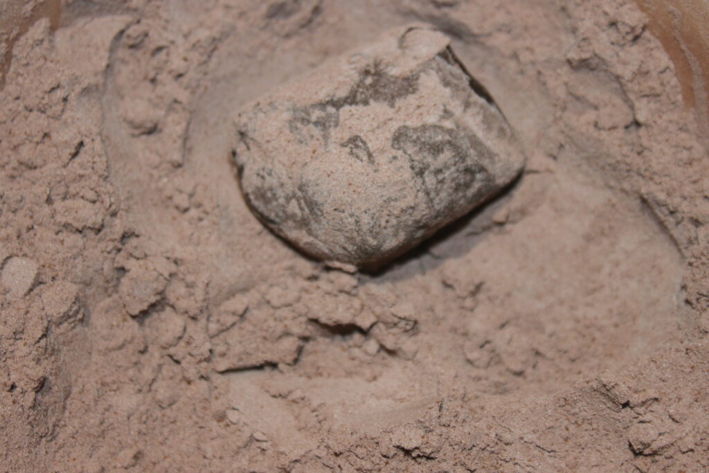 83053D3F 6542 40A6 A209 E406D5870E41