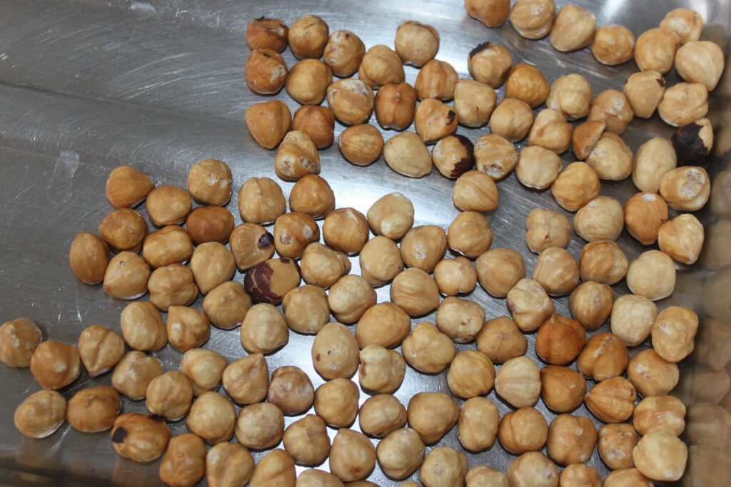 F40E3126 5DA5 458D 8728 9CFAAB5D6288