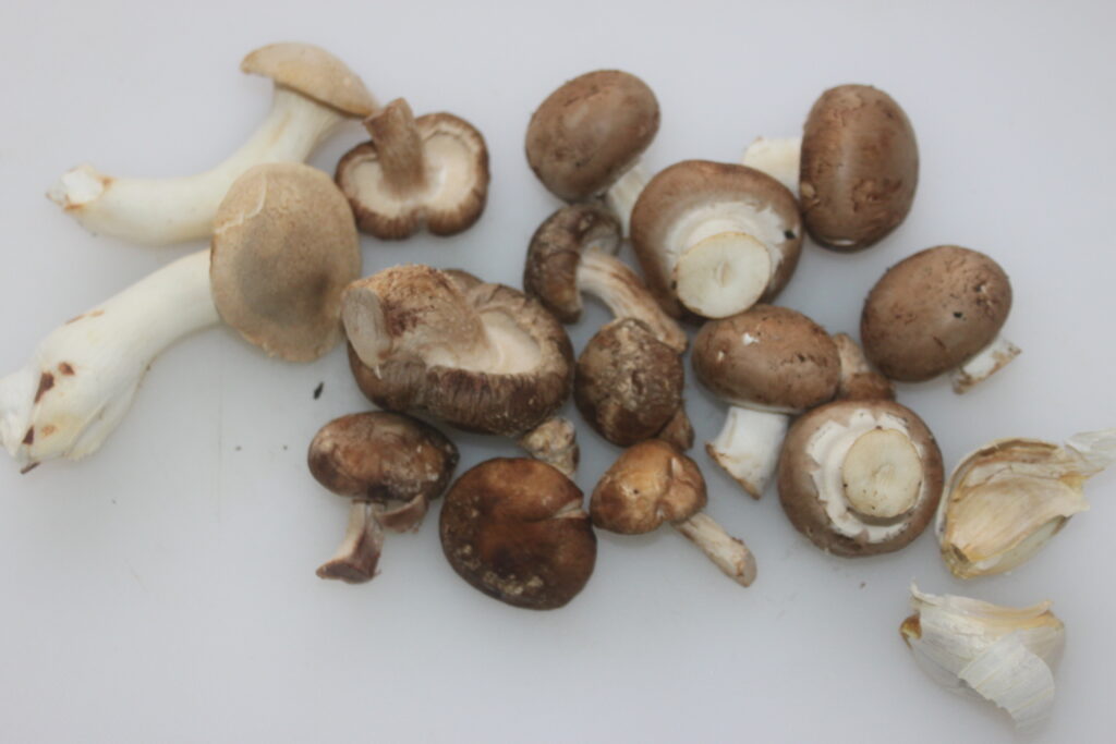 2056470C B577 472A BE64 BC6586147881