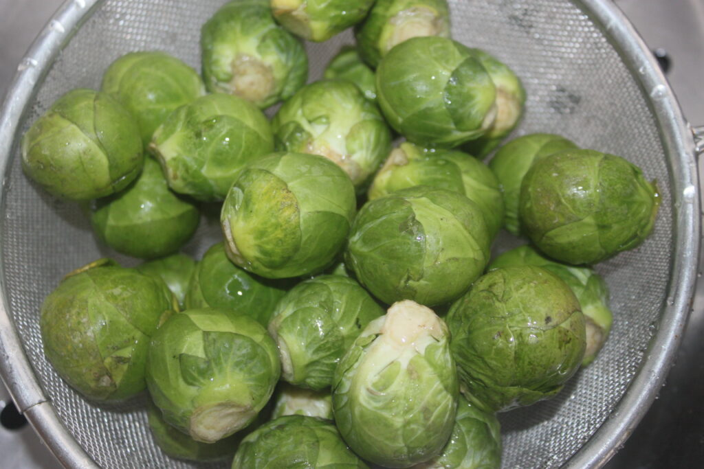 E01F19DA B9FF 4E66 A34D F1457C5B3EF7