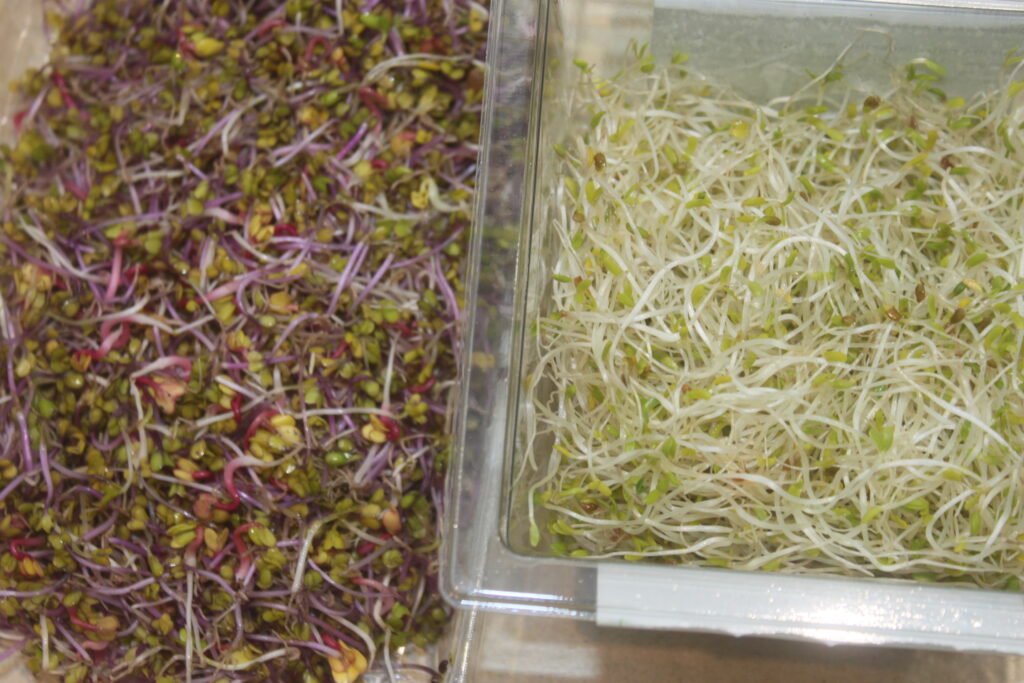 25F64A3A 54EC 4970 B4B5 B1BD15E7B37E