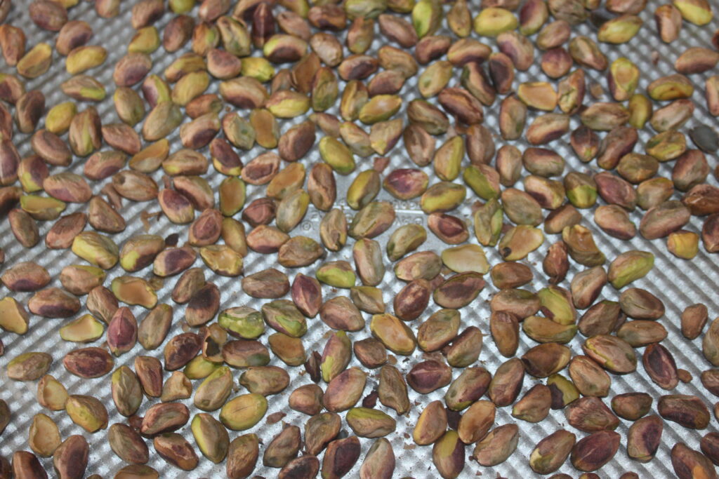 45B888EE 7201 47FD A708 177D9624C353