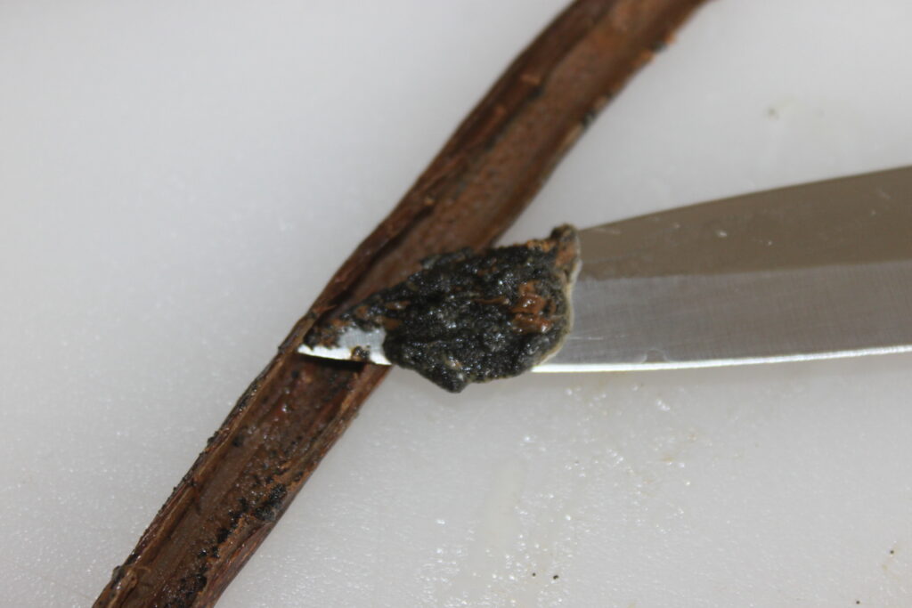 CD5622AC D166 4D44 869F 55EBF917F811