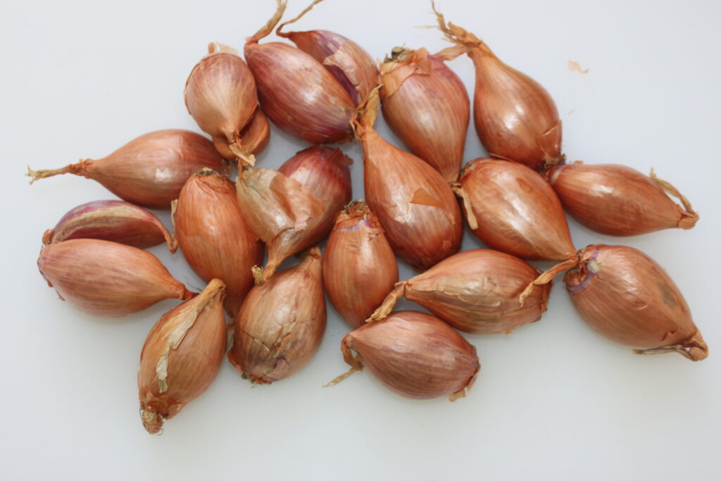 F840022F 6124 4609 A1E4 A2EAF180D0F9