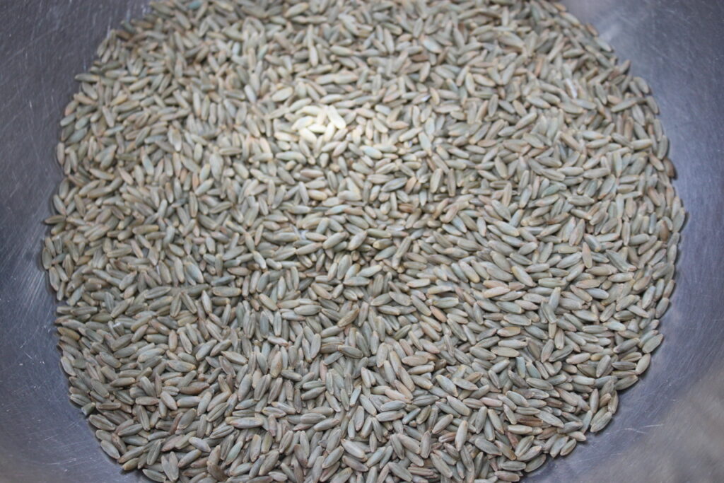 2A21AF18 8679 414D 84C4 63884CEE8489