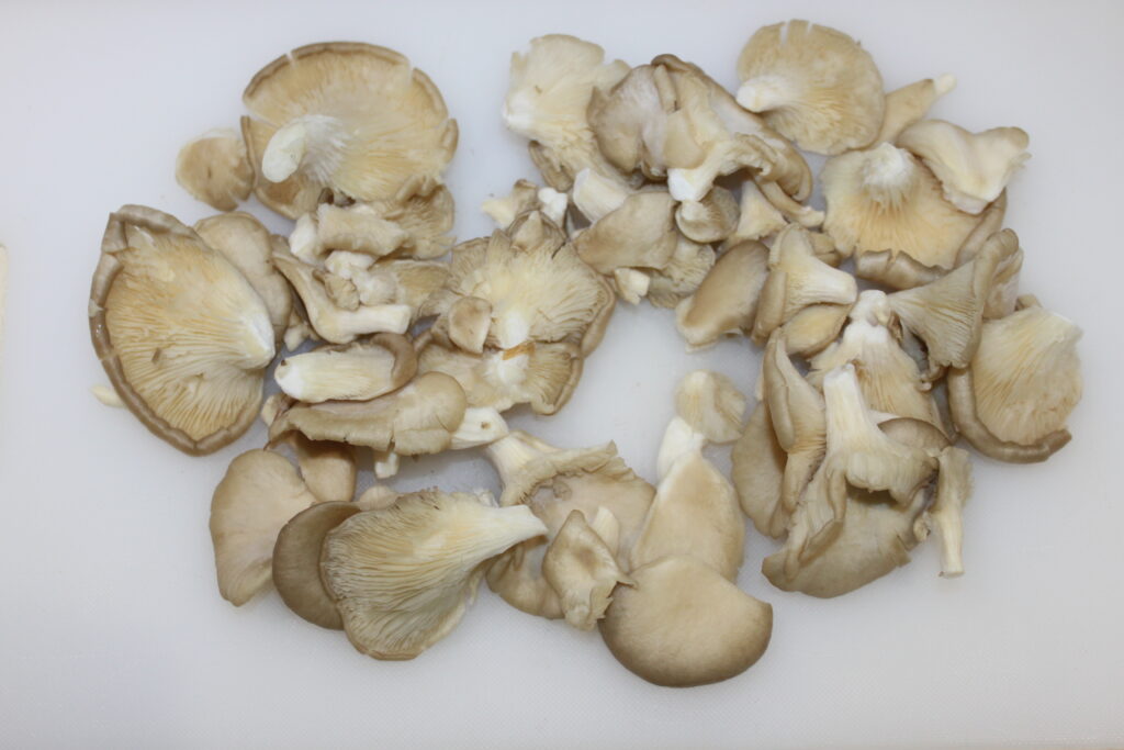 1DDCA851 F115 4AFB 9A06 16FE5BBCE509