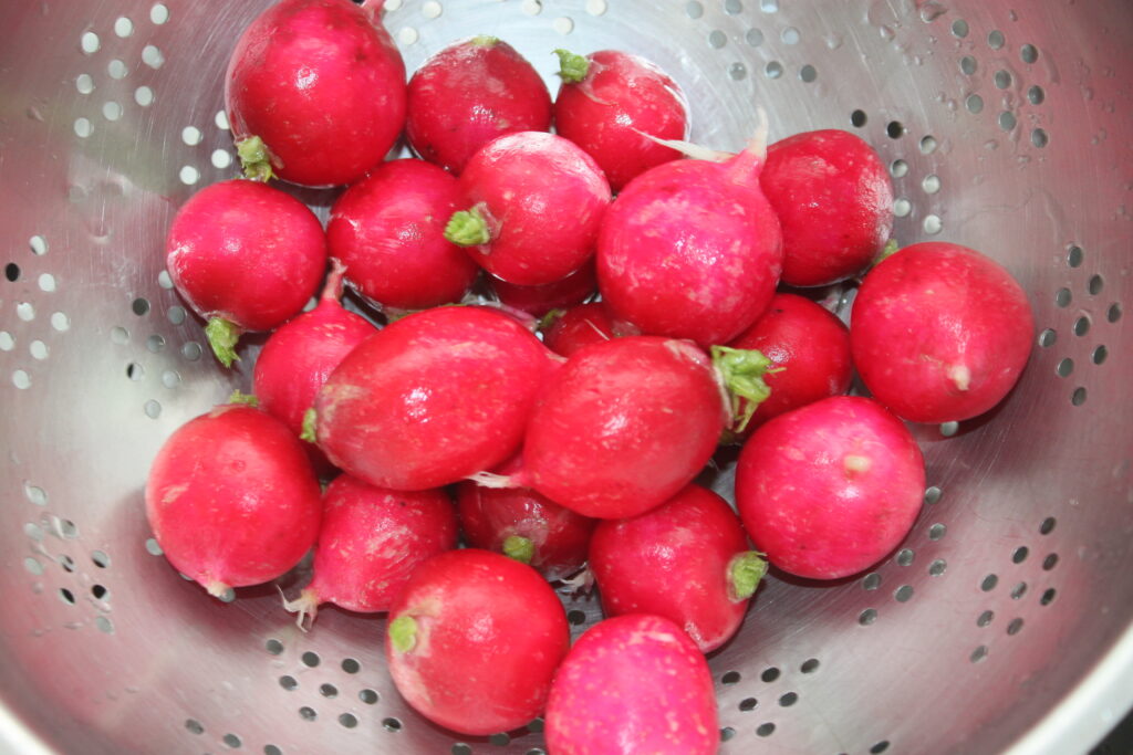 8301CA69 AE27 41CF A605 64E091146ABE