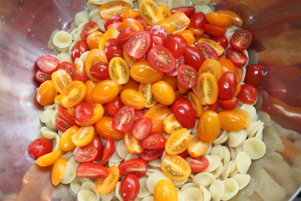 E0720587 890B 40C1 8159 8ACDC8AD2E6D