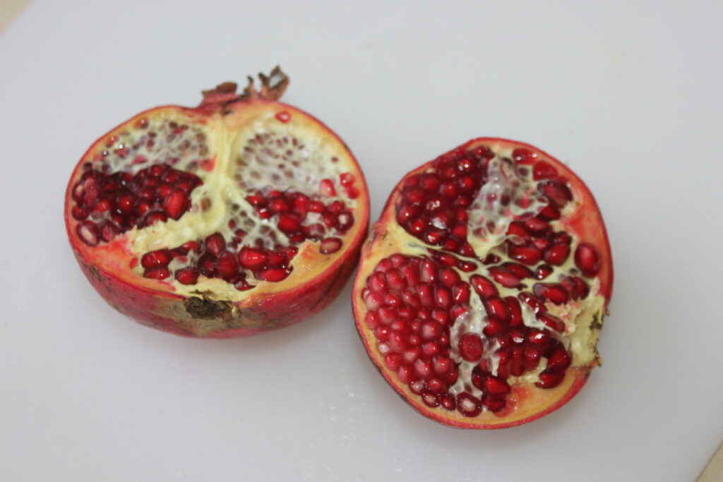 79C7F189 8402 45CE BBAA 82361FFCB7D8 scaled