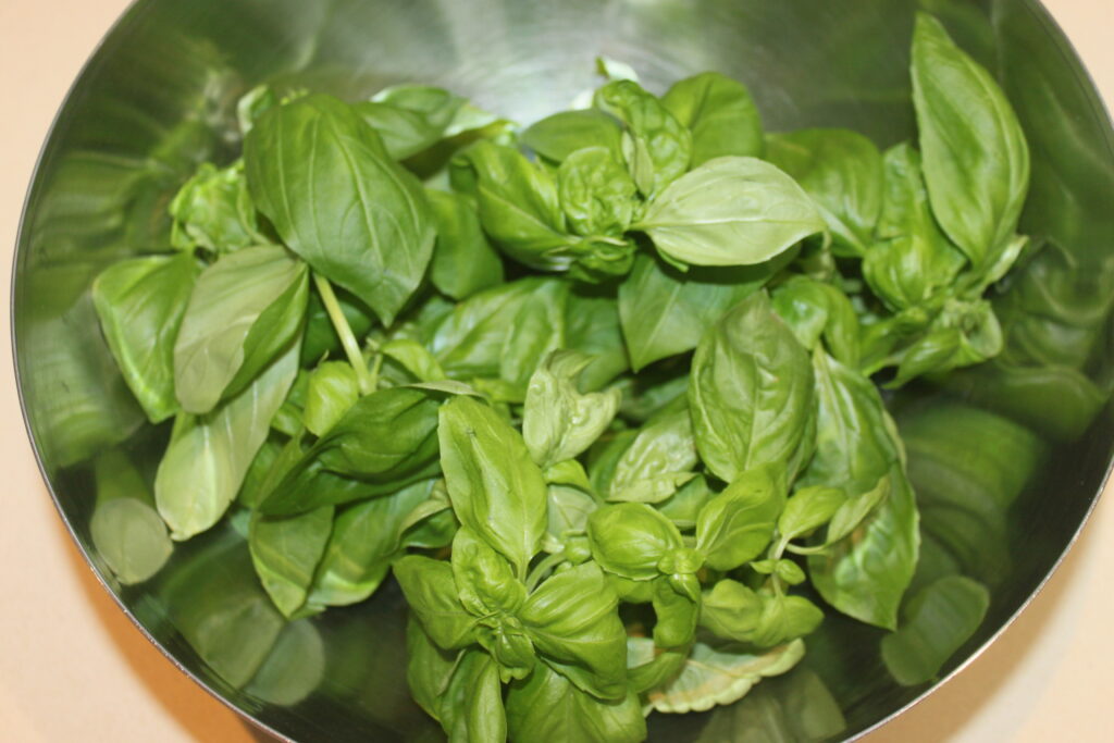 0F1D0DC6 9C44 492A 9D99 8D76BA7D0190 scaled