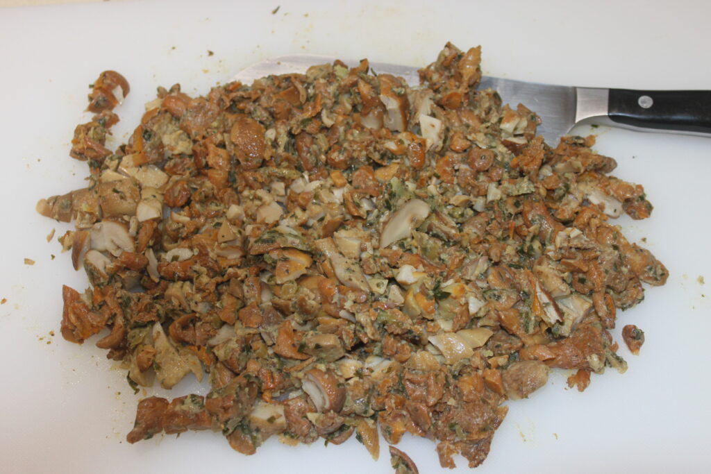 BF5A2DB6 24E5 41A1 945C 46D47DEEF7B6 scaled