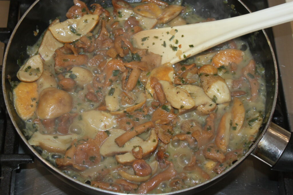 38BEE529 83D2 415A 9431 43F0BD6AAE26 scaled