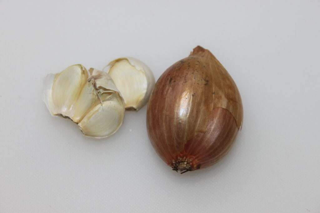 32BB13B9 5242 4E31 BB26 5085E3AA401C scaled