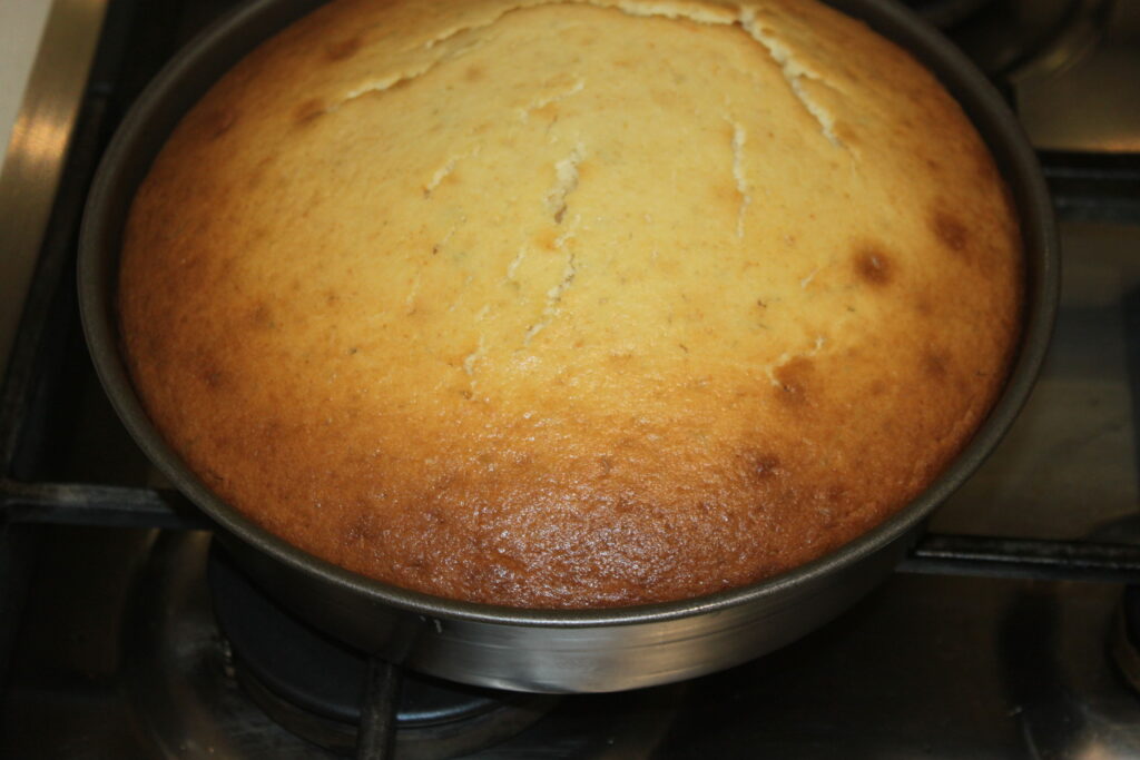 F01F88E4 F525 47C6 AEB7 FBB19ADA1709 scaled