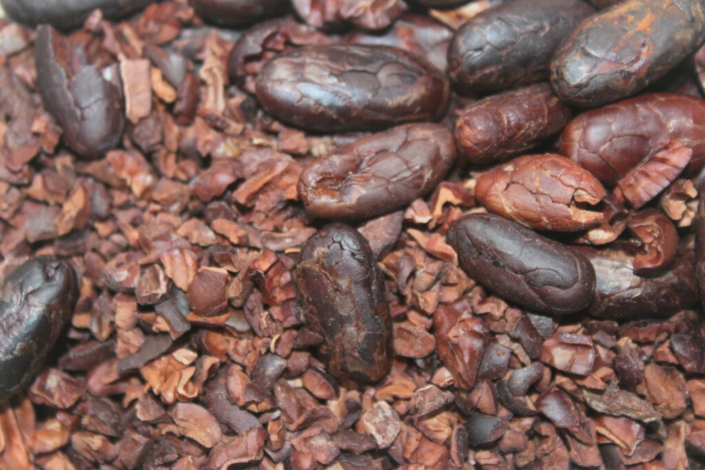 FFC36585 DD11 4F49 BA74 955C8BFAA0E7