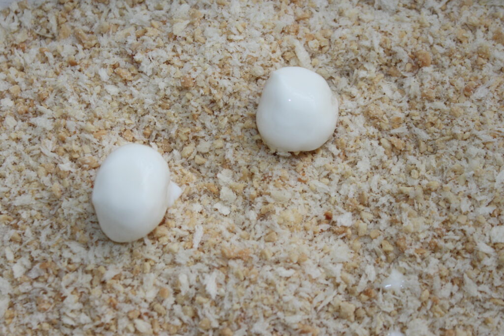 Deux petites cuillerées de sauce blanche, ressemblant à de délicates boules de mozza, reposent sur une surface recouverte de chapelure.