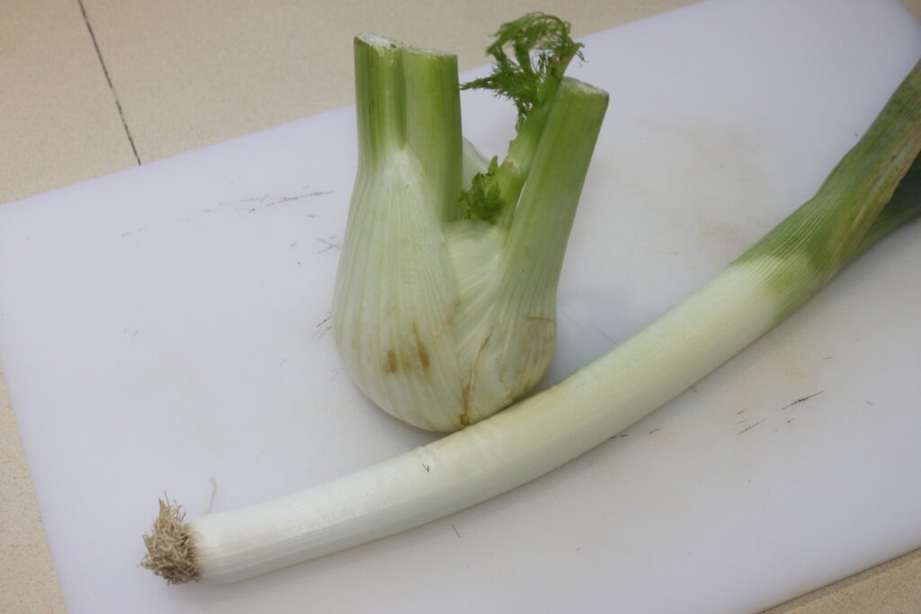 6FC9EE38 4CEC 42B4 8CBC CBFC9CFD0AFA