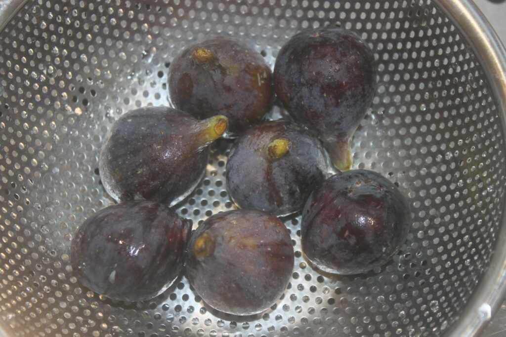 5AA8788A EEAE 4404 9197 B494EB5371A0