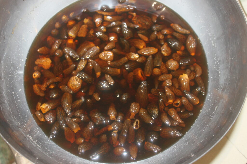 Un bol en métal rempli de morilles brunes séchées, ou morilles, trempant dans l'eau.