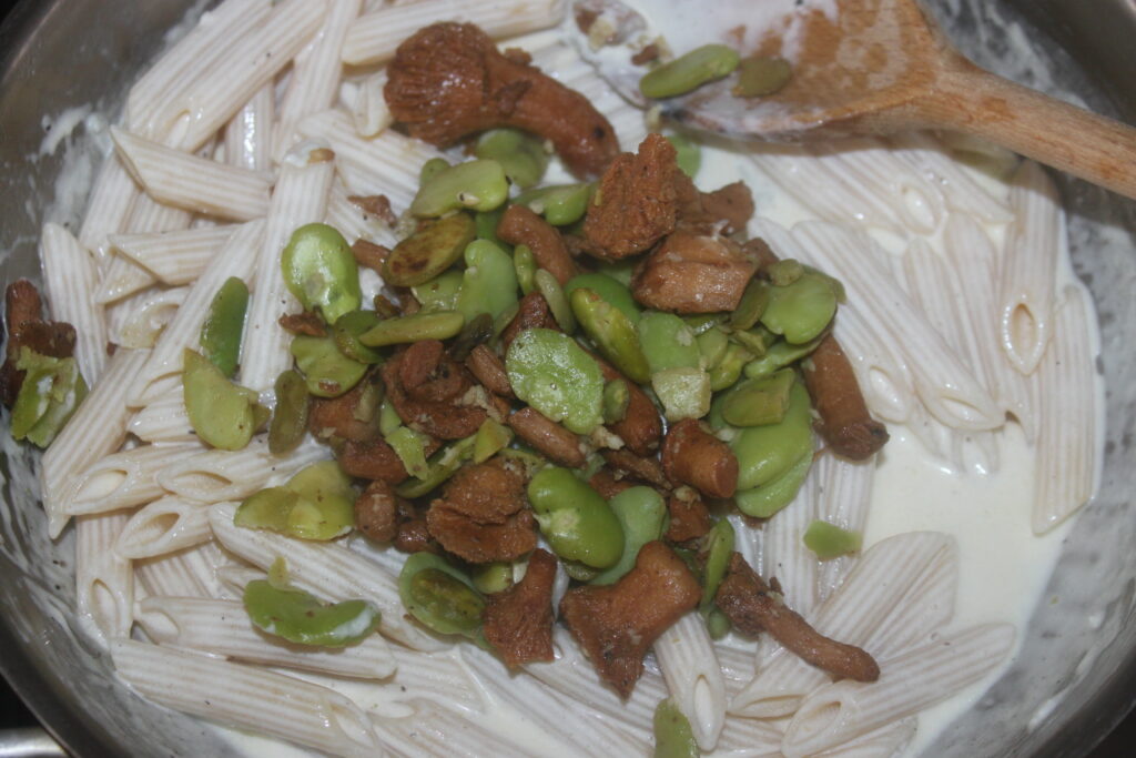 Un plat de pâtes avec des pennes, des fèves et des girolles dans une sauce crémeuse au gorgonzola, remuée doucement avec une cuillère en bois.