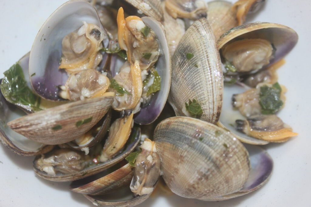 2E6F310B 2272 4356 8101 984836227178