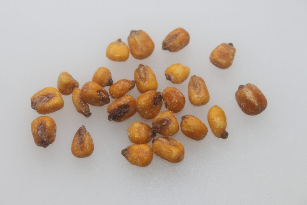 Une dispersion de grains de maïs grillés ressemble à la garniture parfaite pour un ceviche sur une surface blanche immaculée.