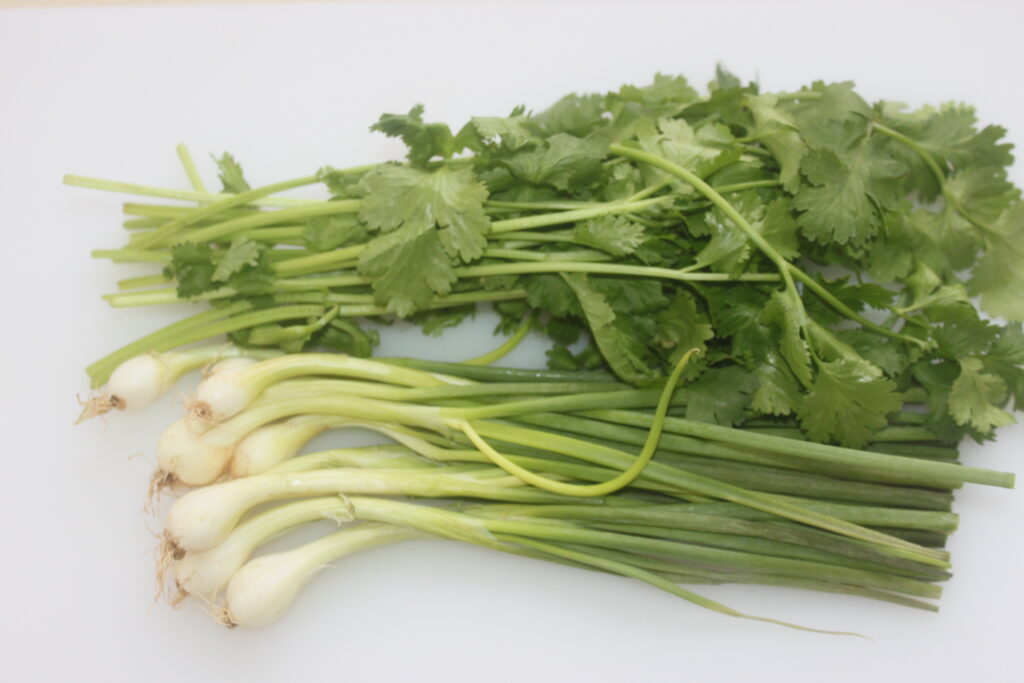 Paquet de coriandre fraîche et d'oignons verts prêts à rehausser votre prochain plat de ceviche sur une surface blanche.