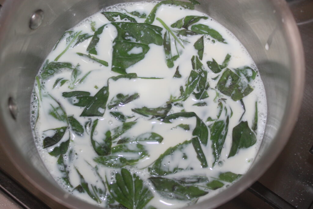 Une casserole contenant du lait, des herbes vertes fraîches et un soupçon de crème basilic chocolat blanc.
