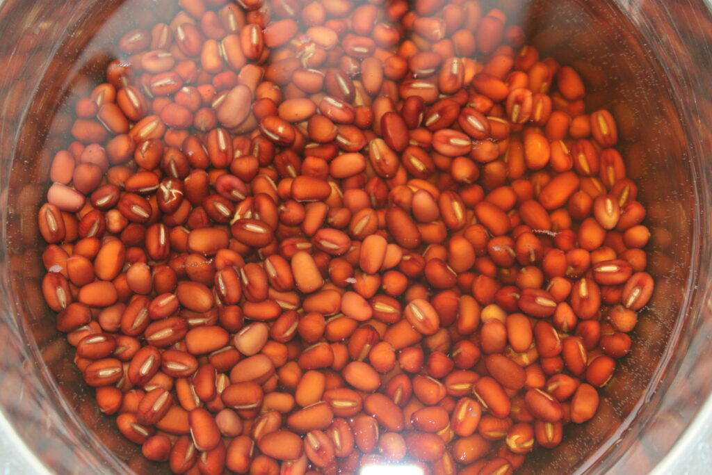 5506DD3F A0EC 4446 AC42 99CB050A9122