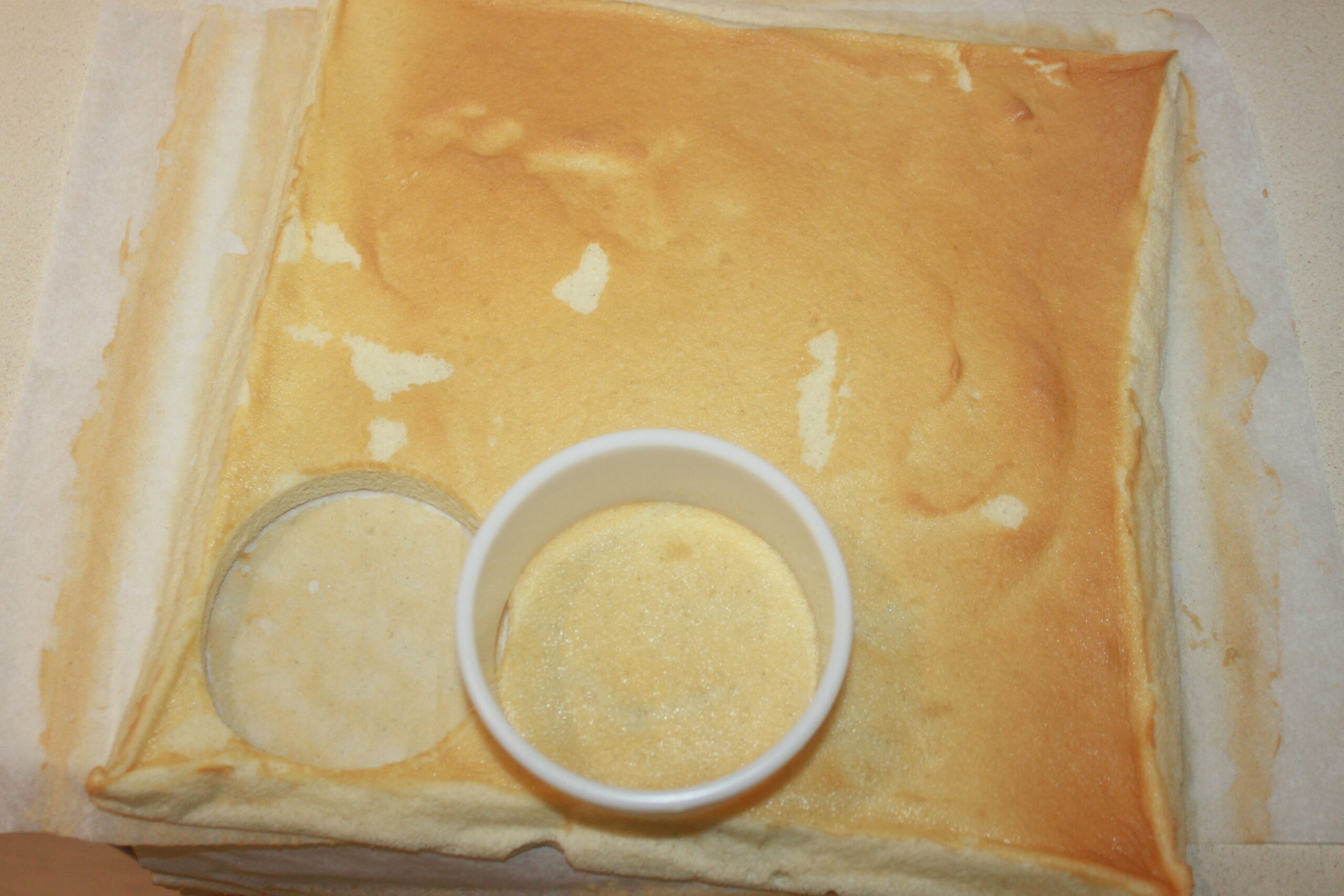 673B101E 4638 4464 889B C7E3201A2FF5