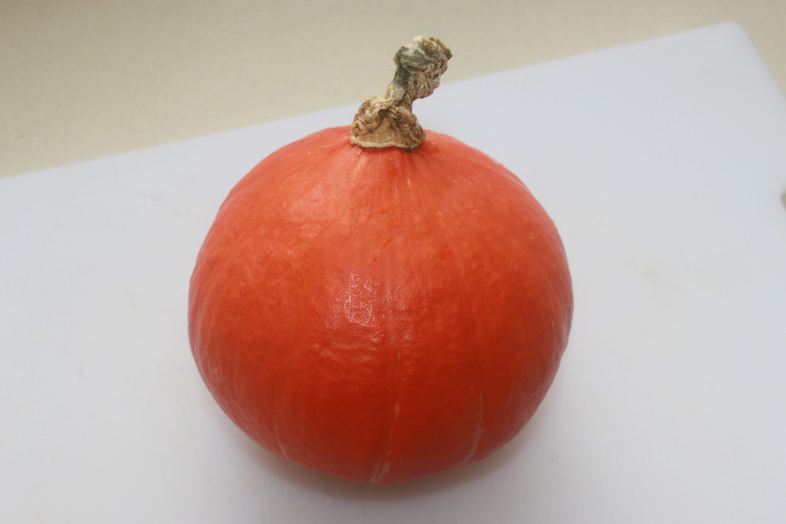 9AEC79F6 832C 4704 8C40 EC19424B8B4C