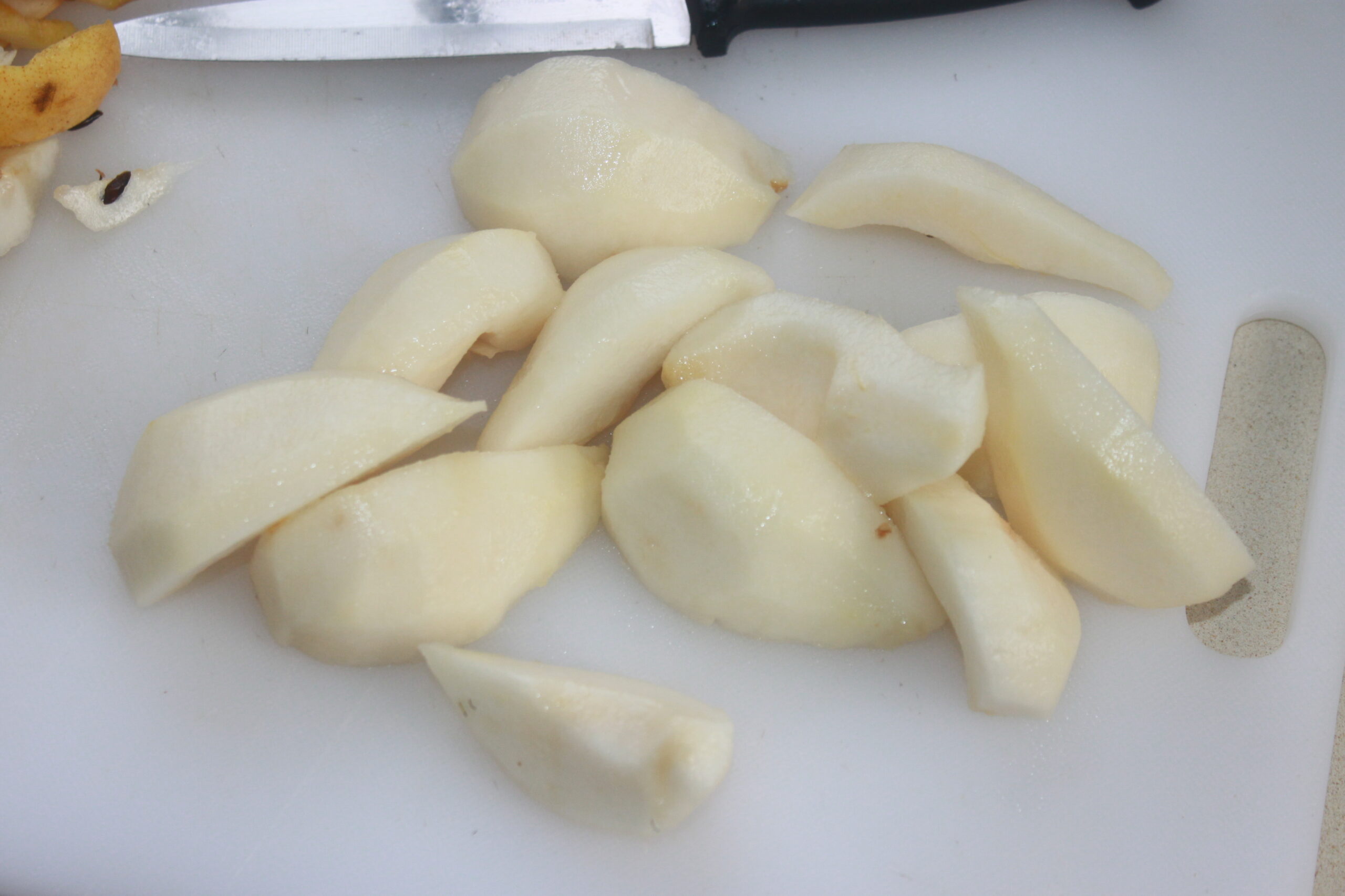 0AC461A1 6AD8 4A9E 8AE0 02479D825D2C