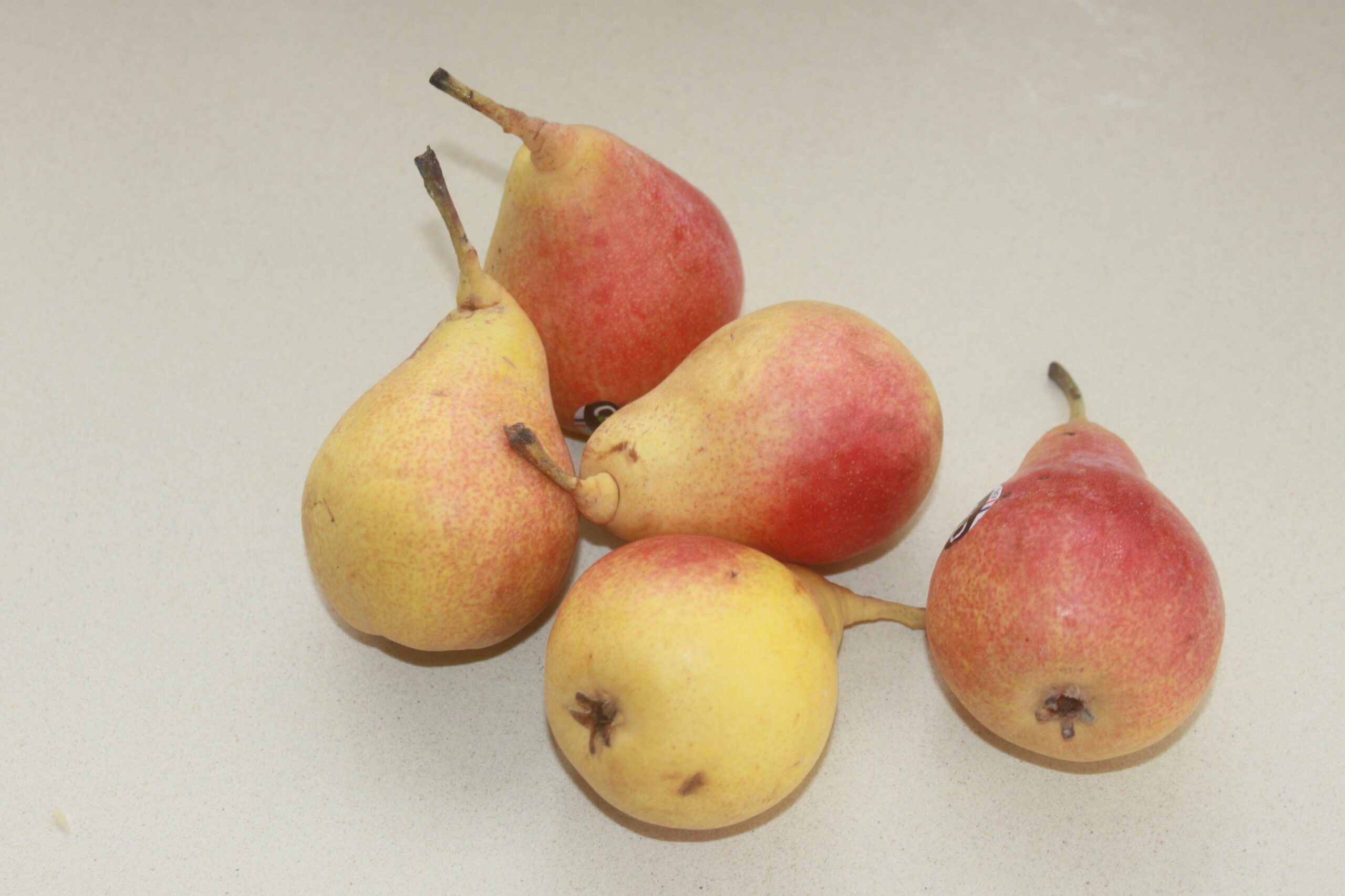 B68EB6D8 8C79 45D8 BC3B 11B70644AC12