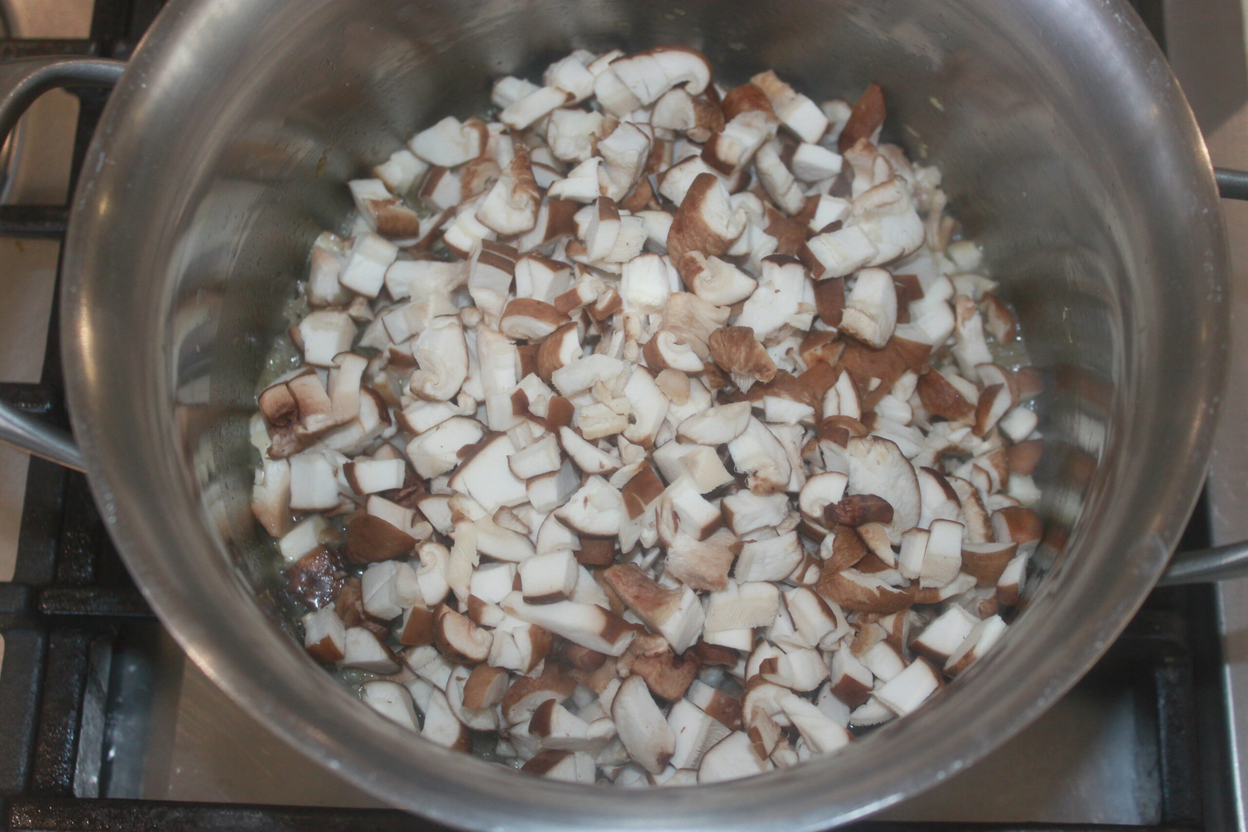 AA770A1F 237F 4658 9D46 5085741B1085