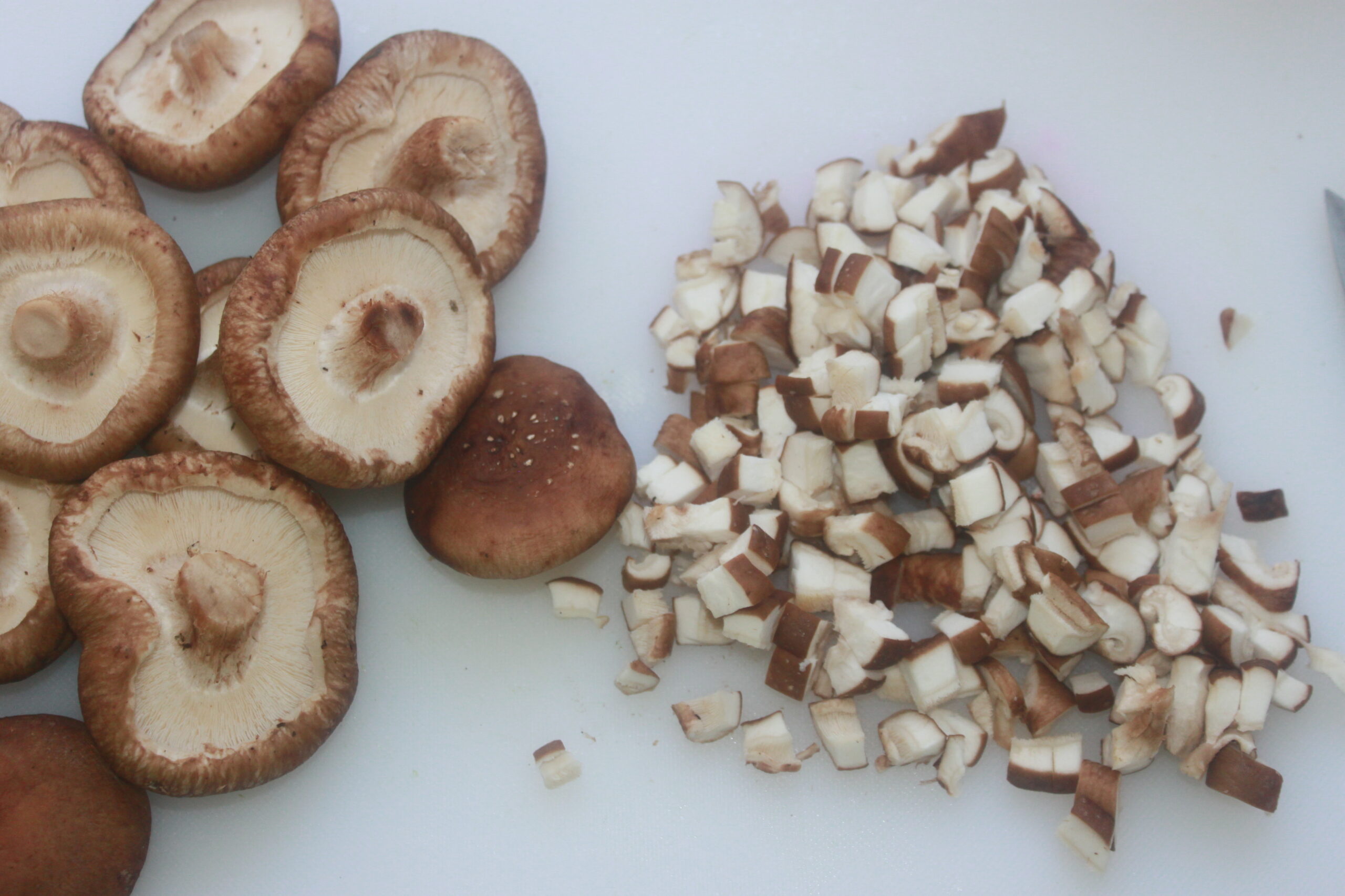 31A59D65 CF86 4EB2 B40A 9721557C791C