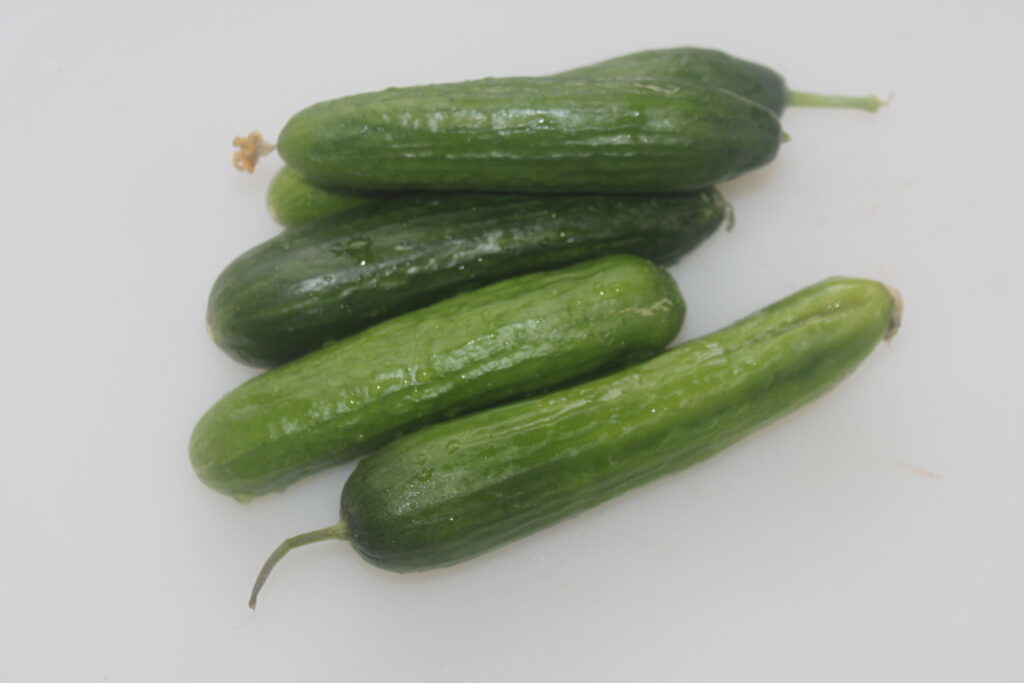 1DF83641 42CB 4C1D BF2F 6C87EEA4F6C3